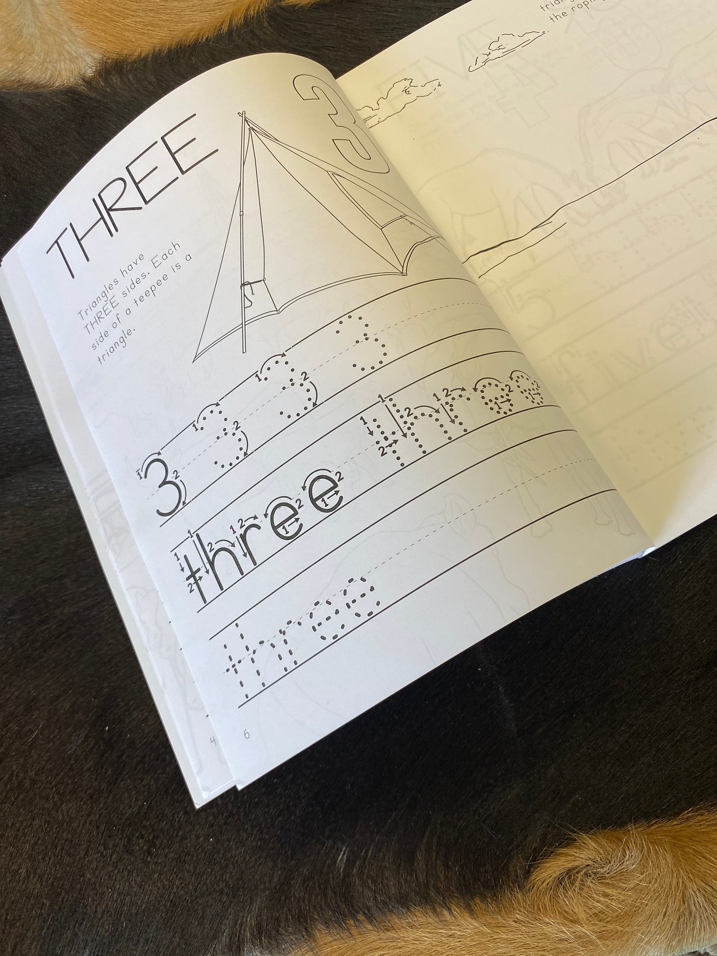 Ranch Math Counting, Shapes, and Basic Skills