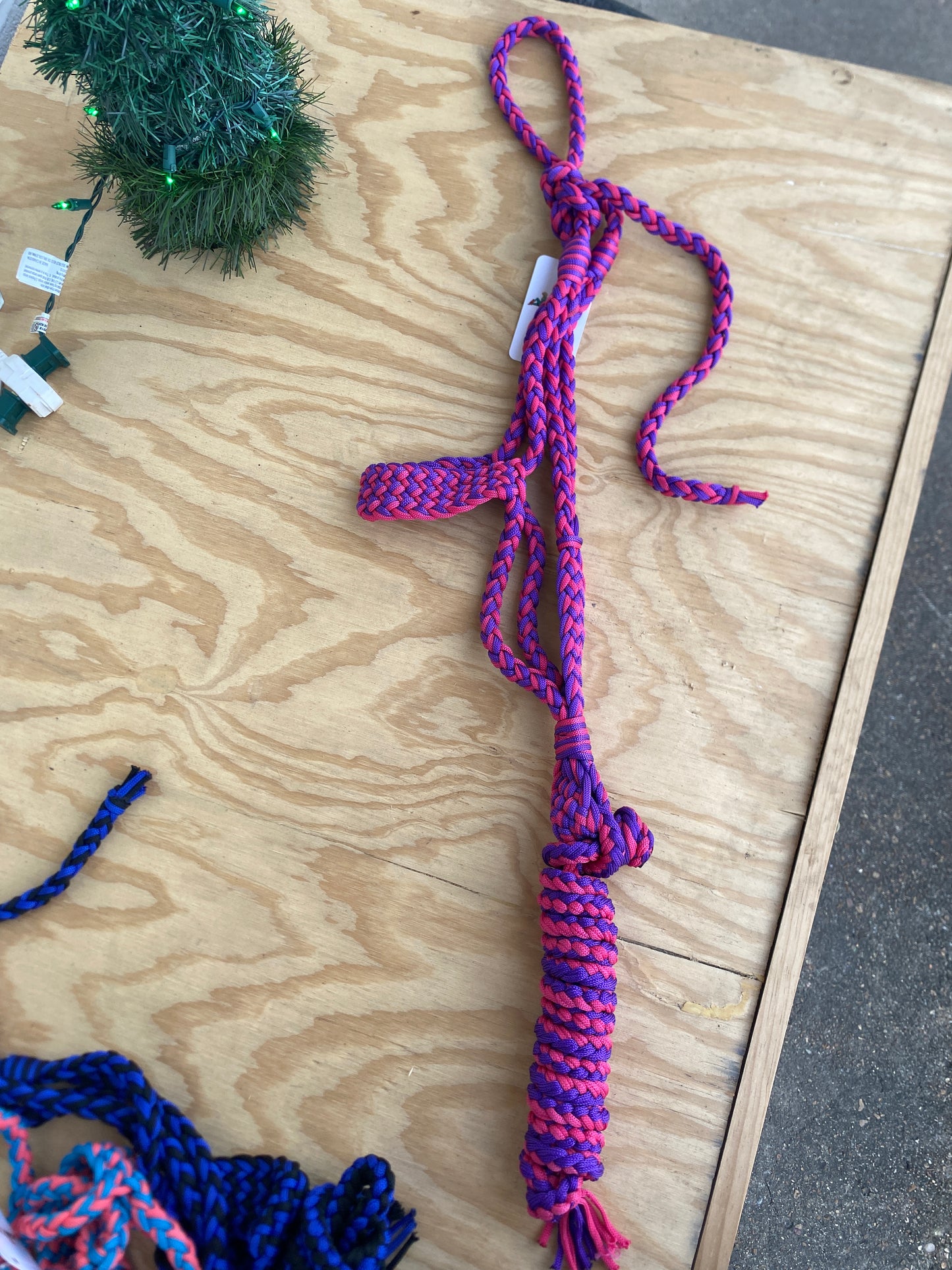 Nylon Braided Halters
