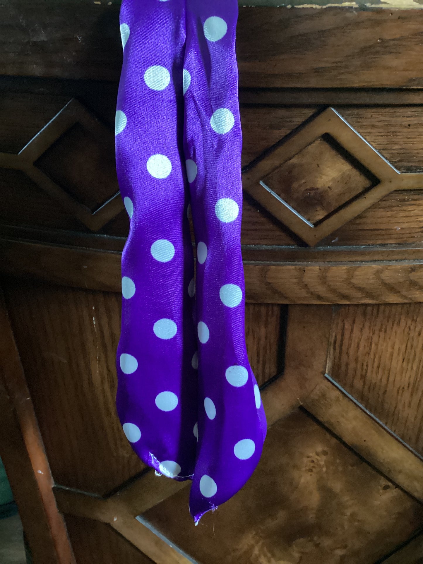Rodeo Rags