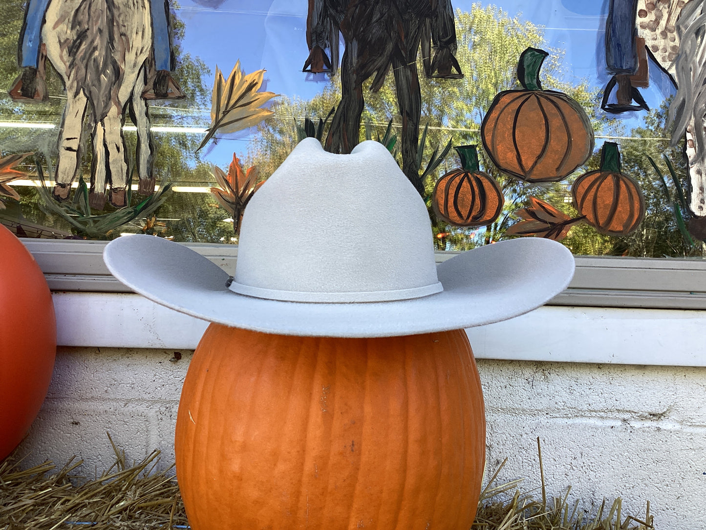 “Dallas” Silverbelly Felt Cowboy Hat by Twister