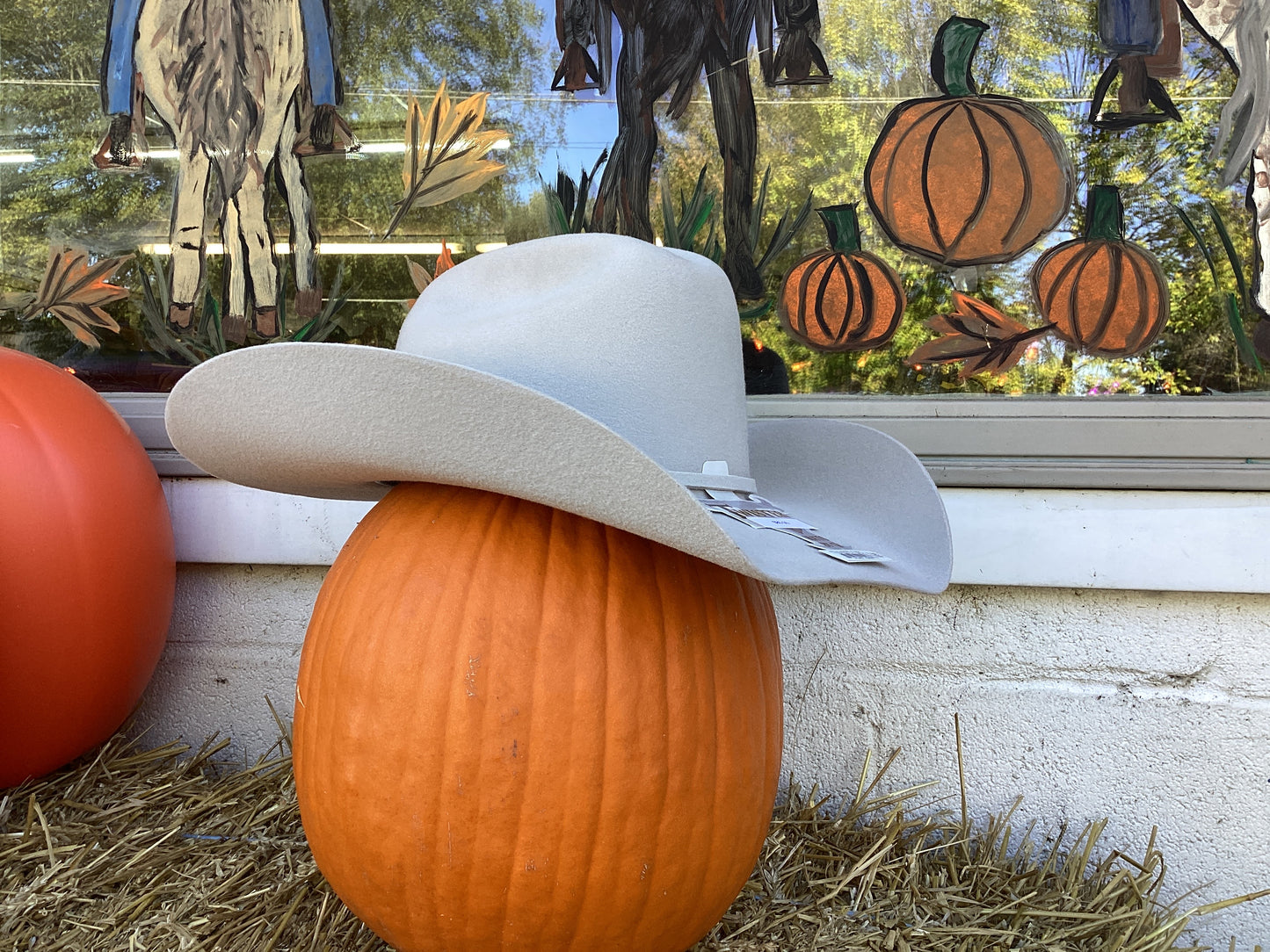 “Dallas” Silverbelly Felt Cowboy Hat by Twister