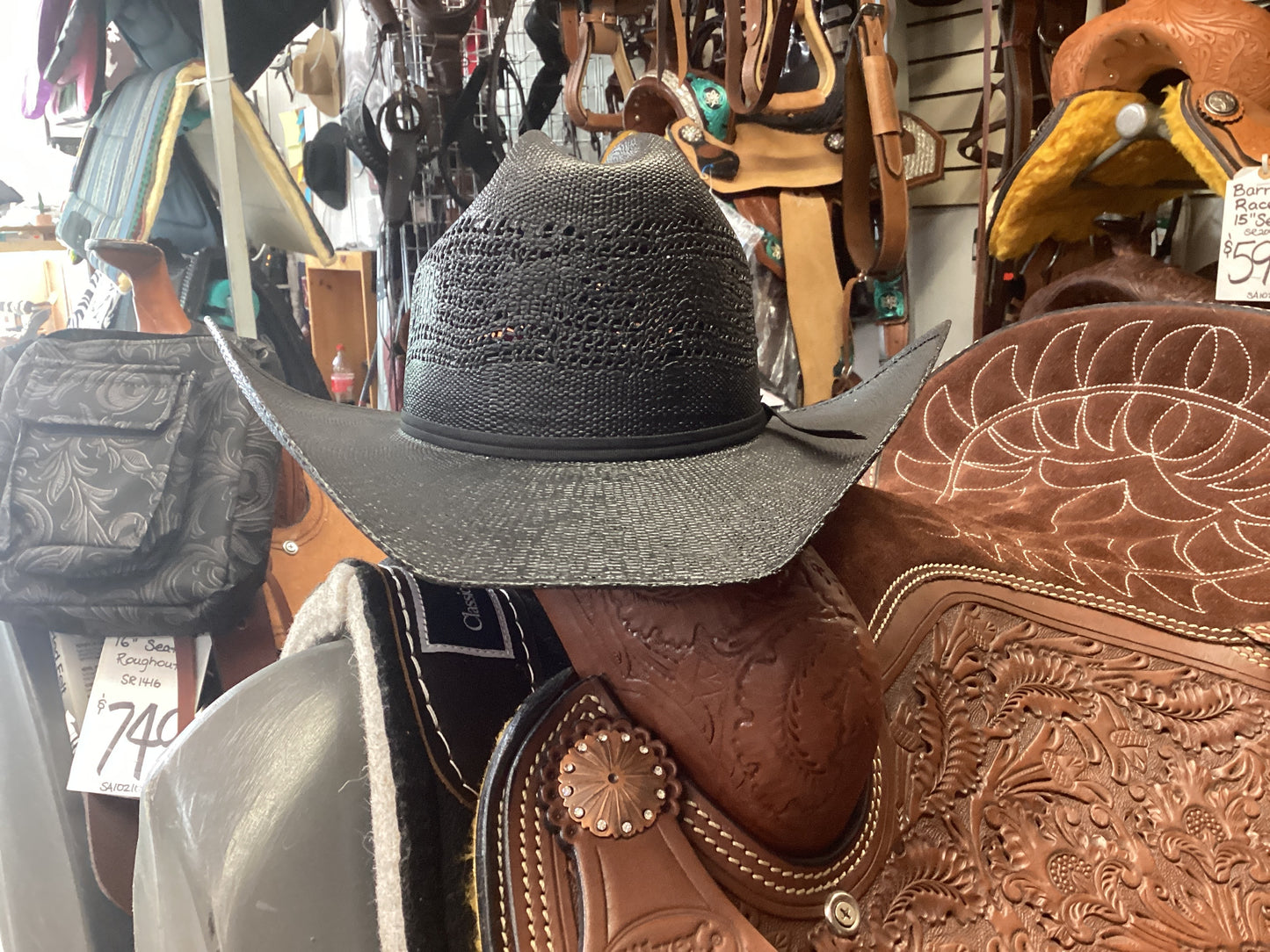 Desert Knight by Bailey