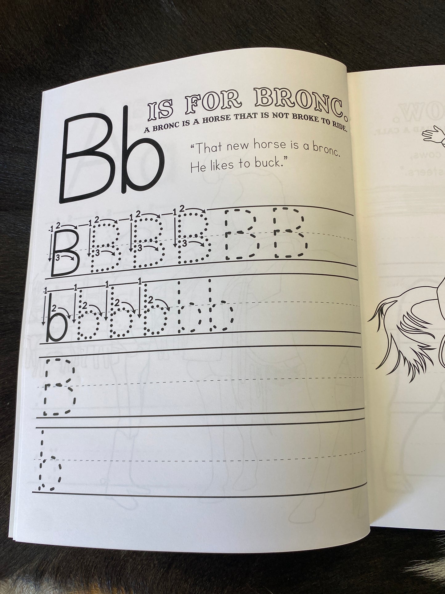 Ranching Pre-K & Kindergarten ABC Workbook