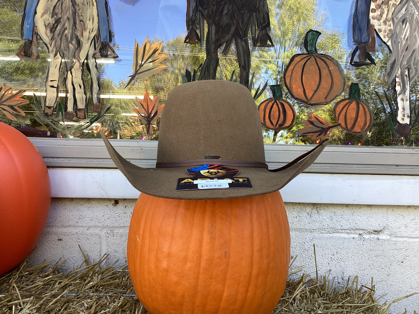 6X Pecan Fur Felt by Ariat