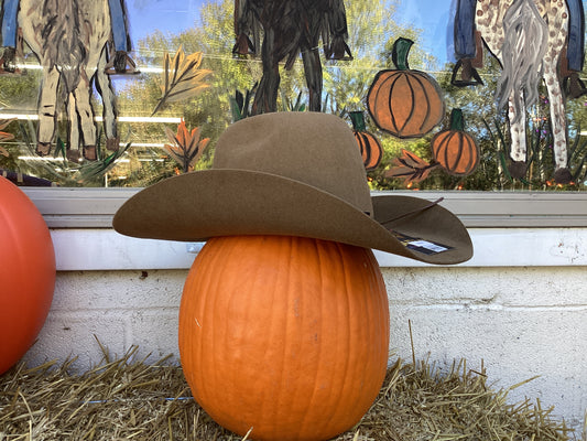 6X Pecan Fur Felt by Ariat