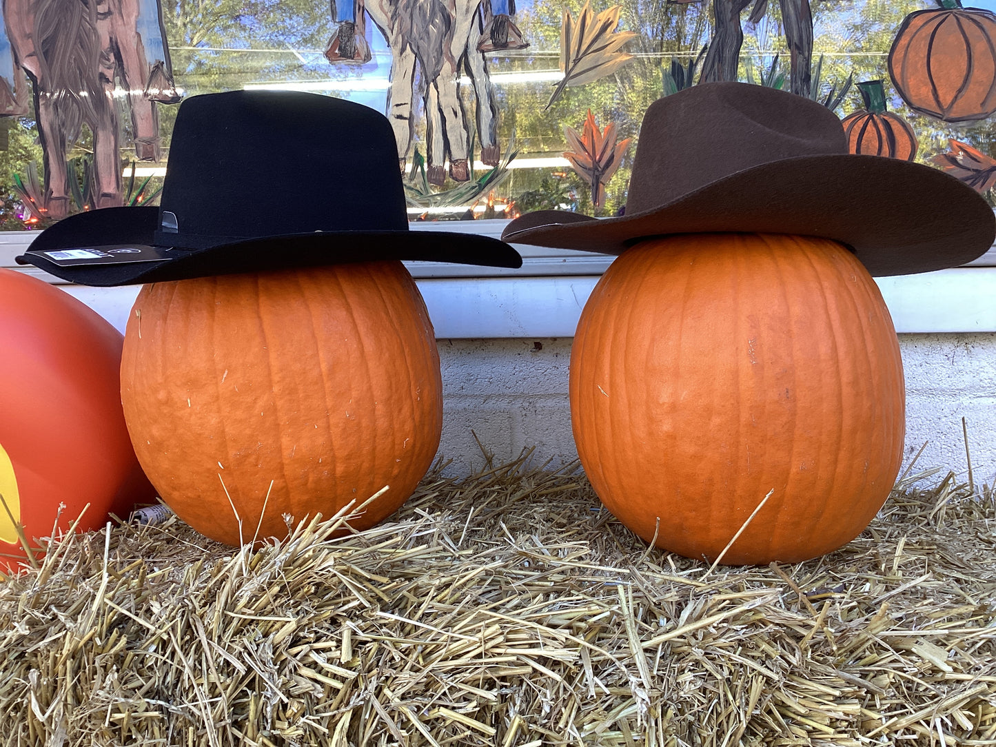Kid’s Wool Felt Cowboy Hat by Ariat