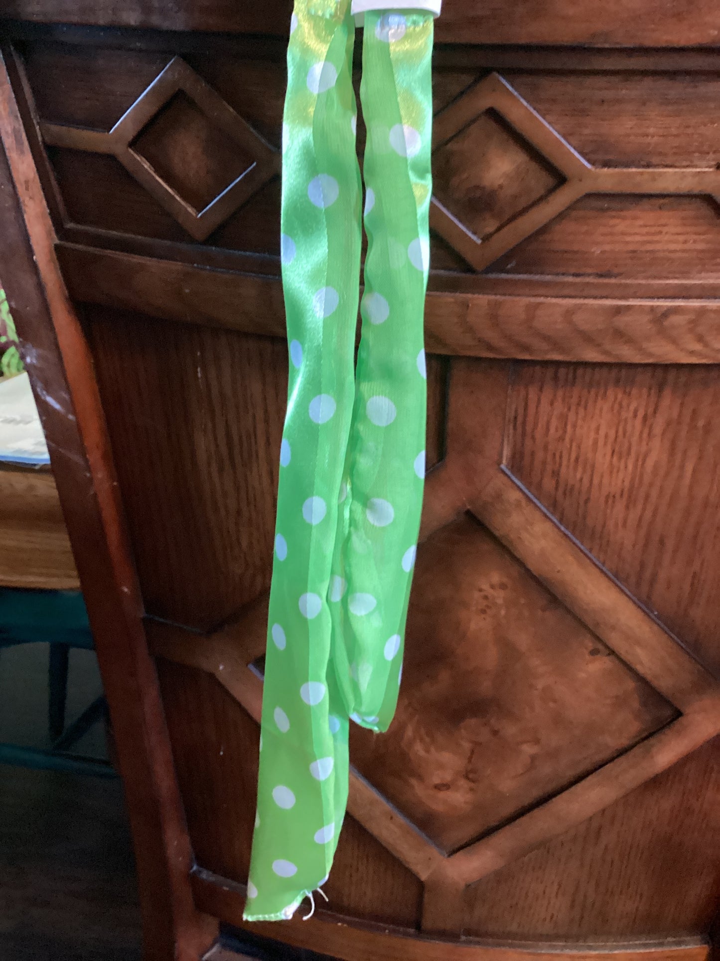 Rodeo Rags