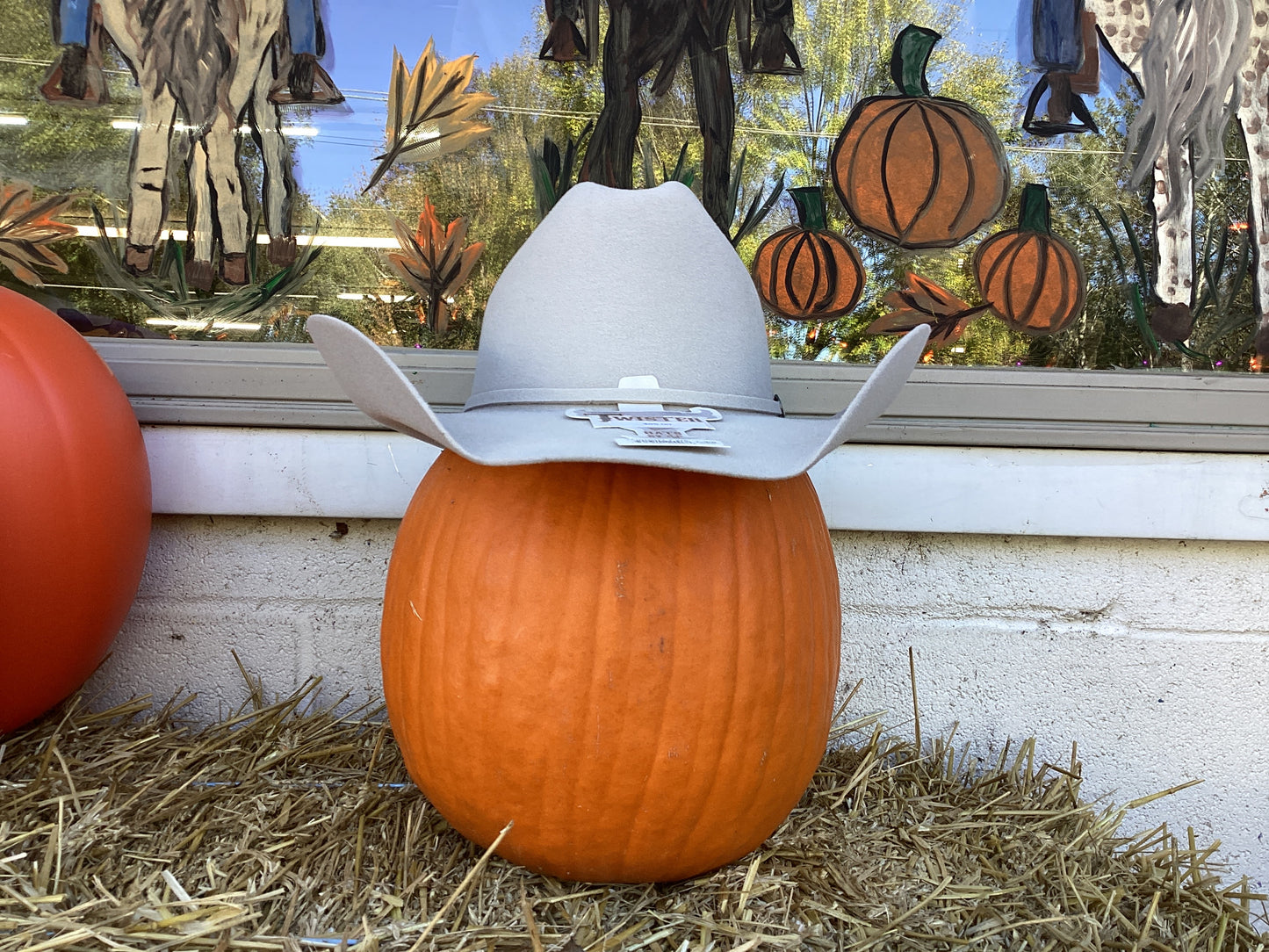 “Dallas” Silverbelly Felt Cowboy Hat by Twister