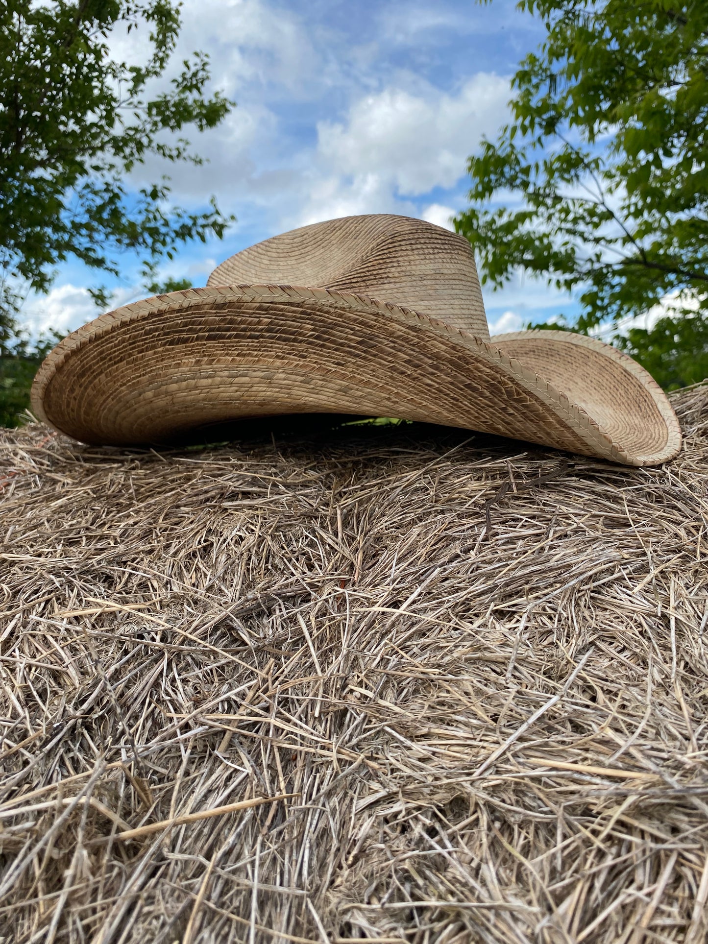 Bridwell 25X by Bullhide