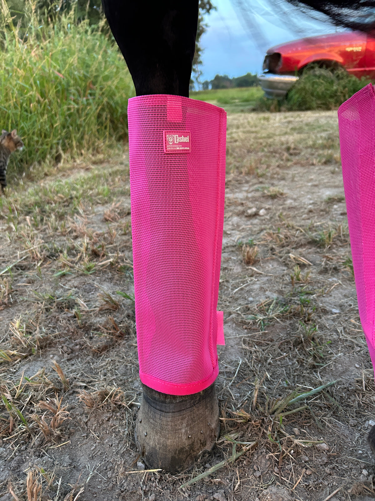 Crusader Fly Leg Guards