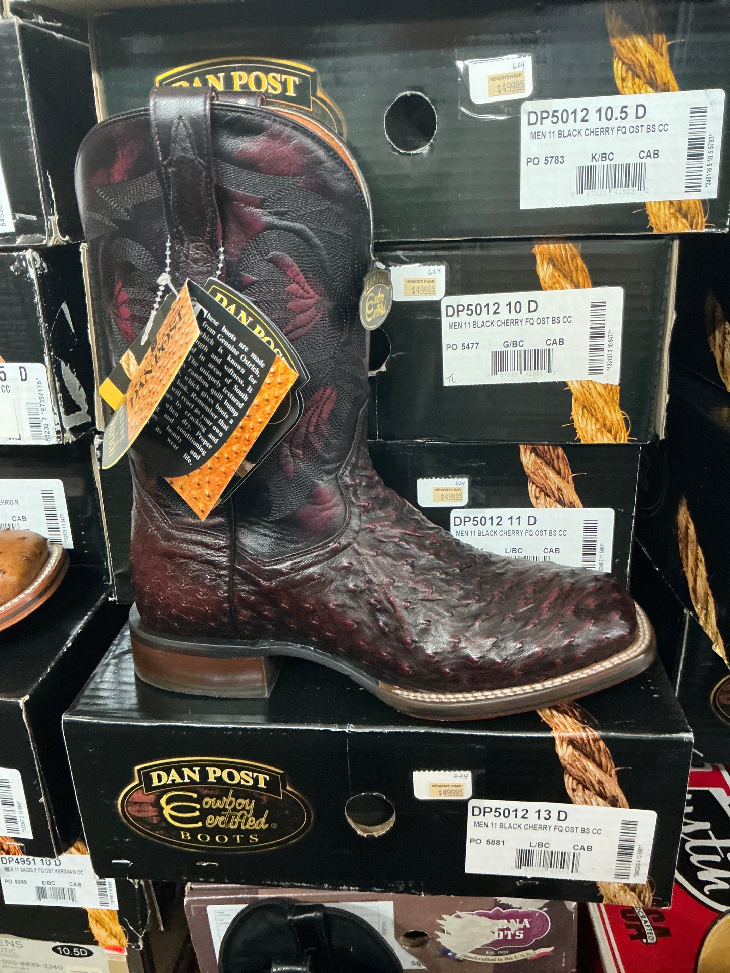 Dan Post Black Cherry Full Quill Ostrich