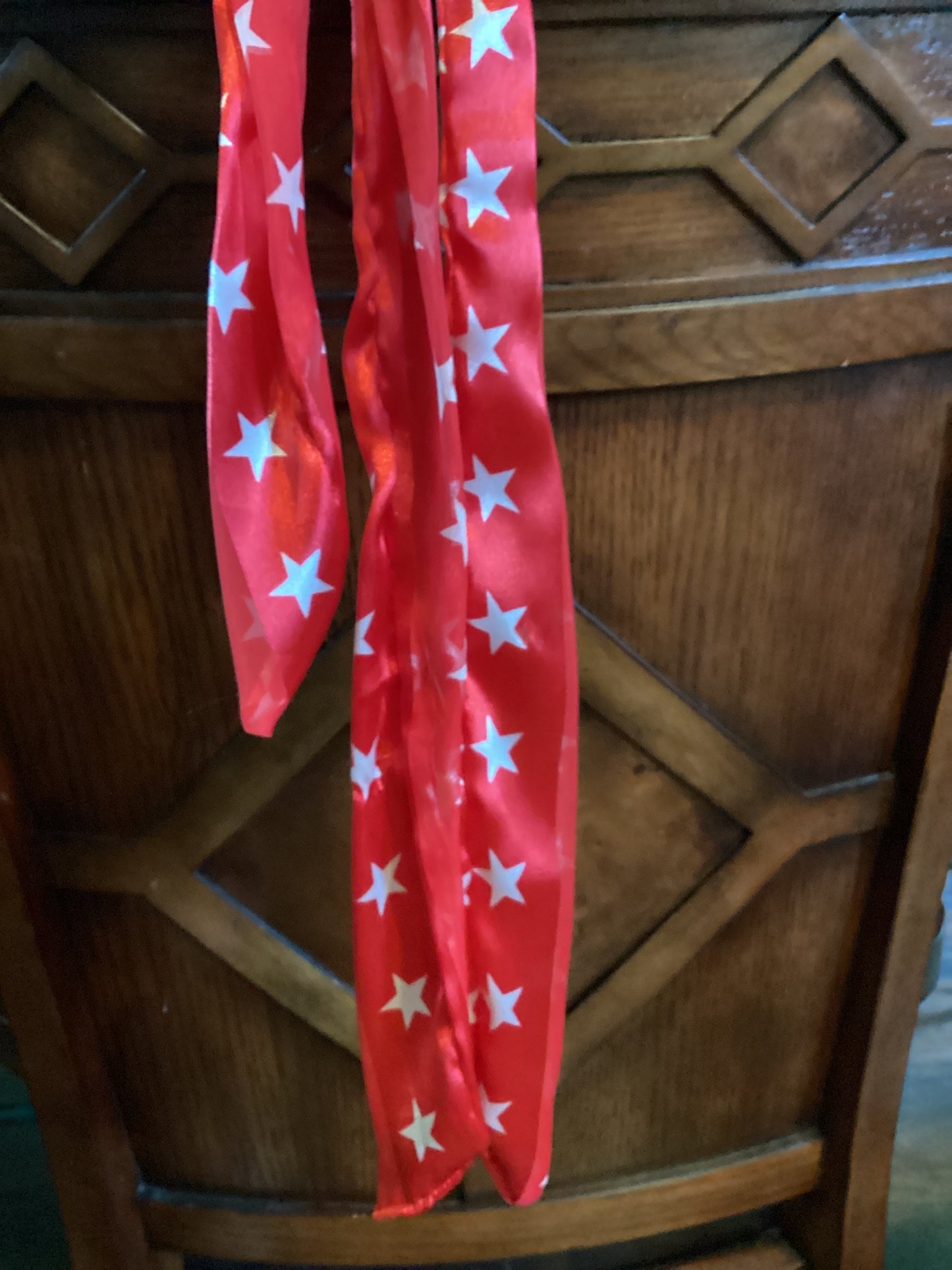Rodeo Rags