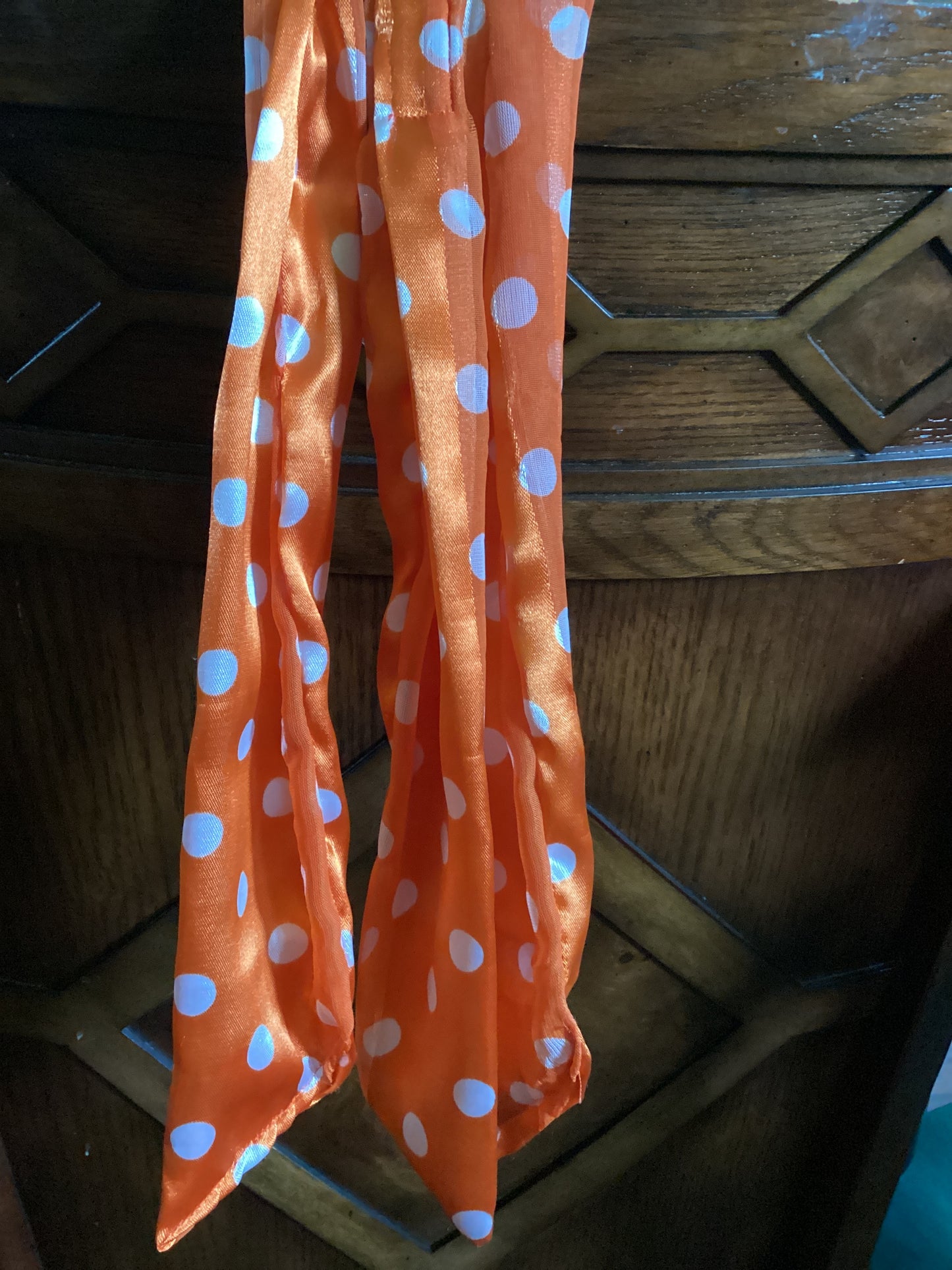 Rodeo Rags