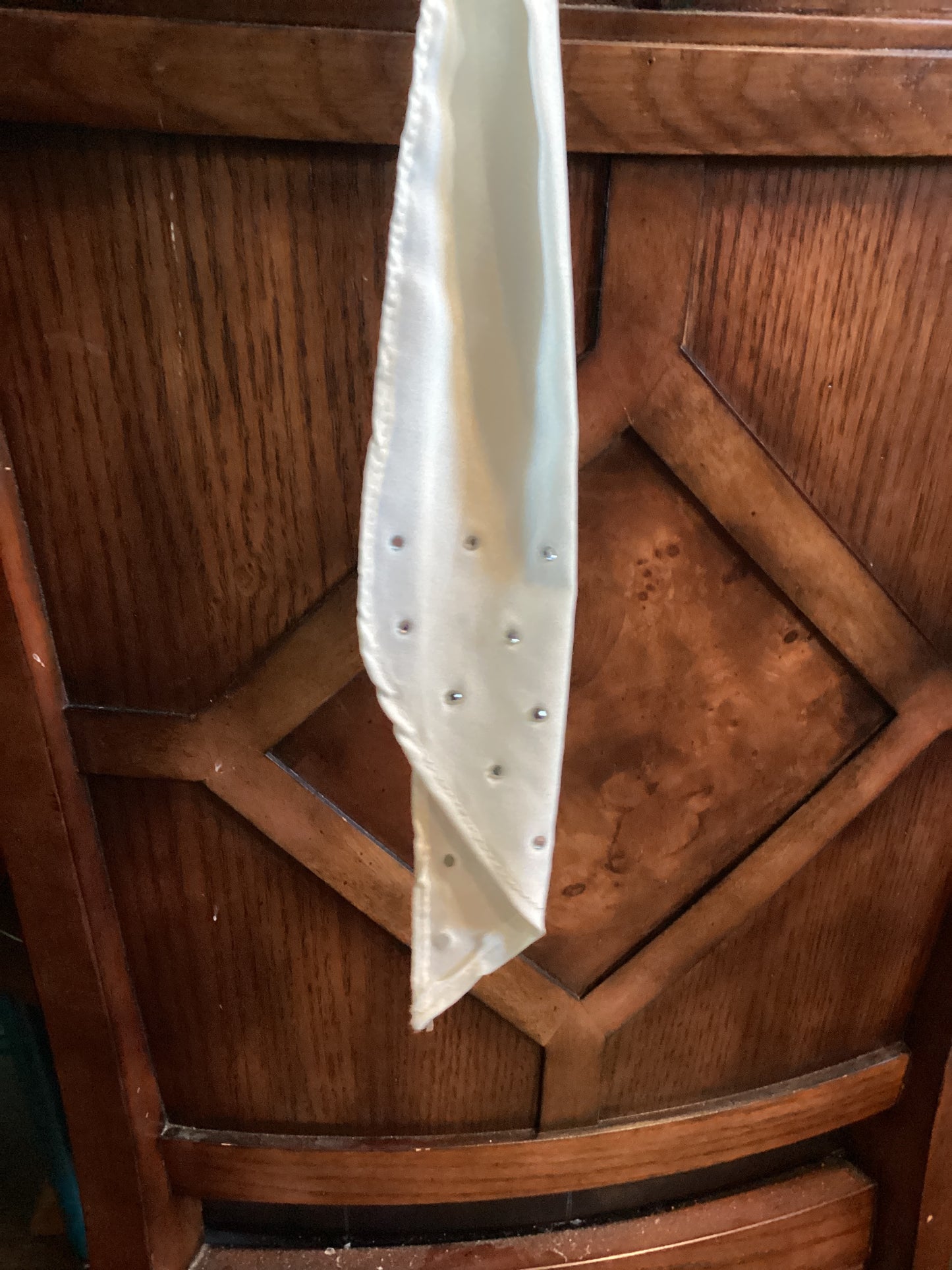 Rodeo Rags