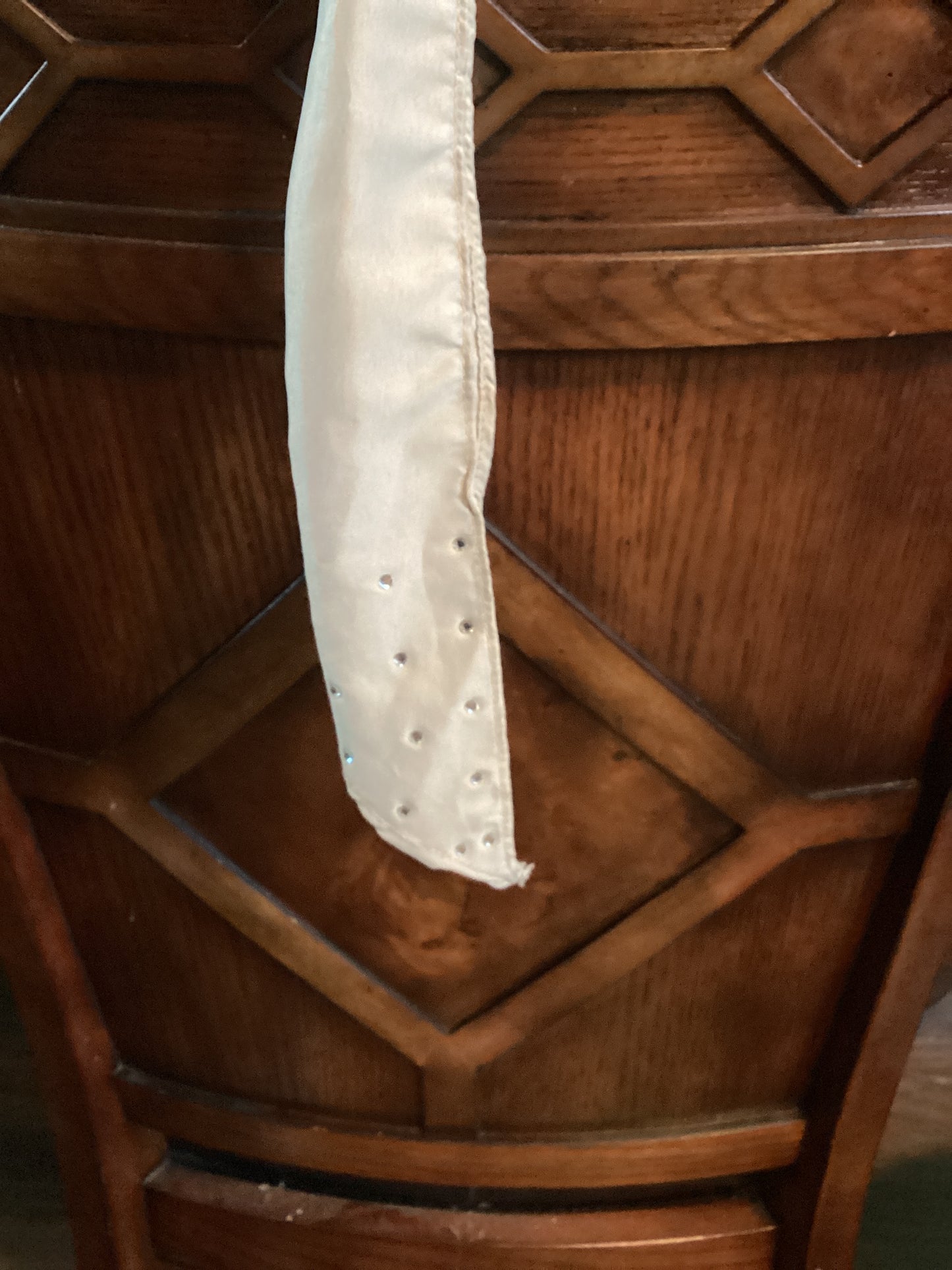 Rodeo Rags