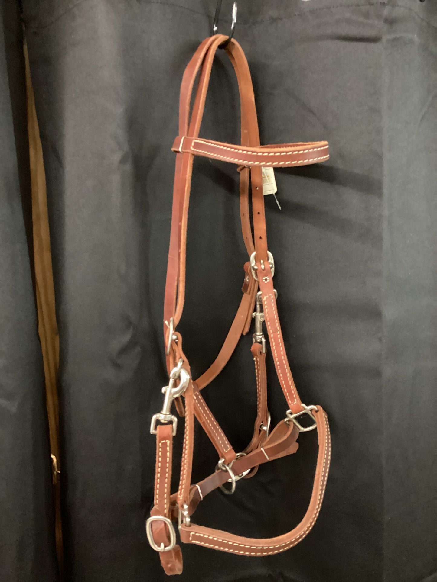 Halter Headstall combo