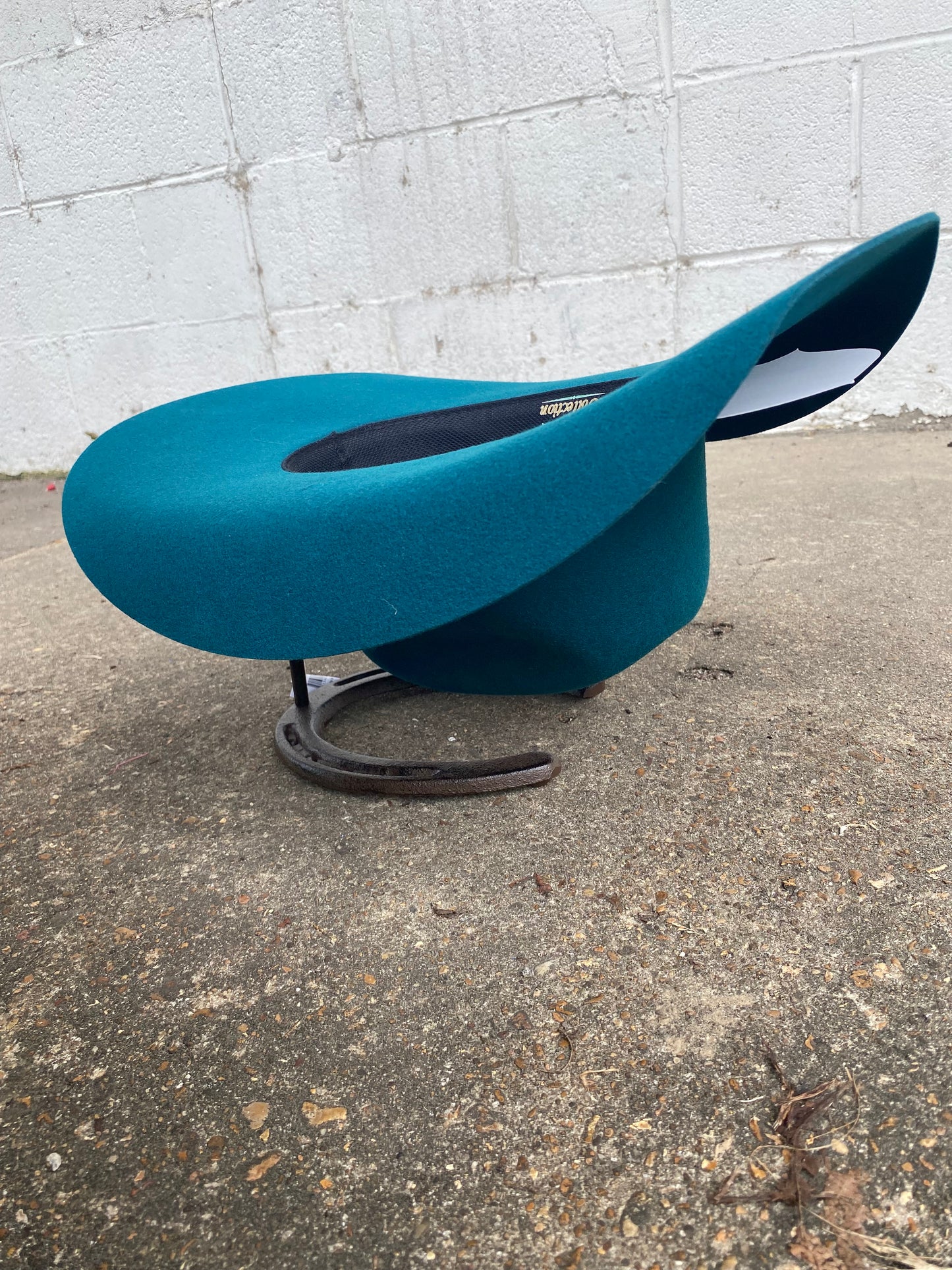 Horseshoe Hat Rack