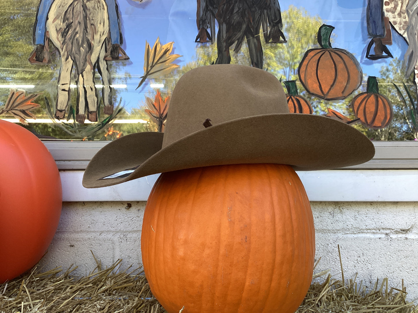 6X Pecan Fur Felt by Ariat