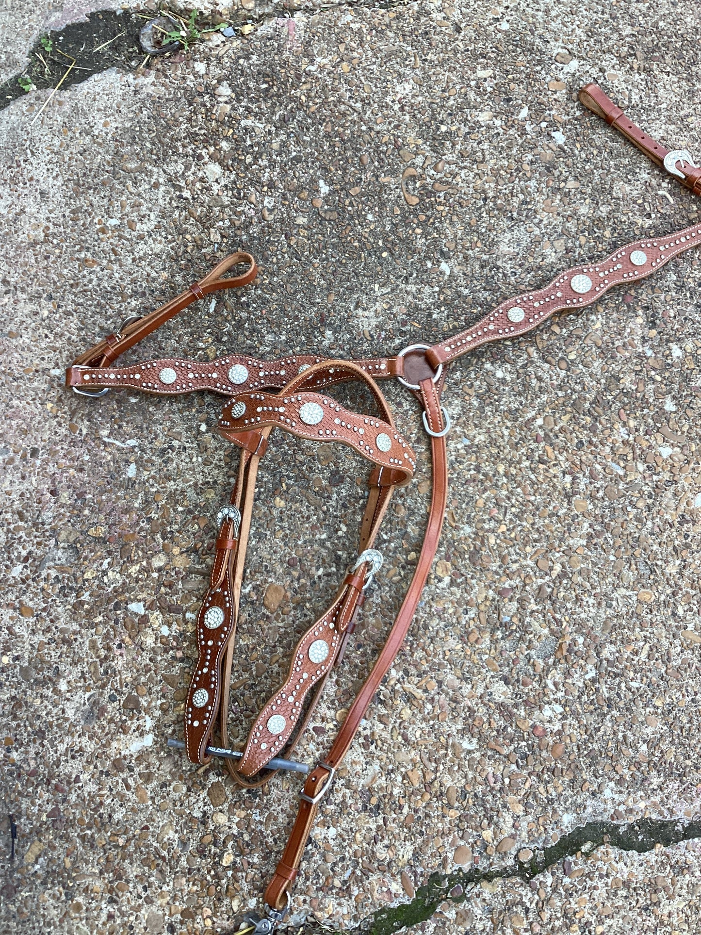 The Classy Gal Tack Set