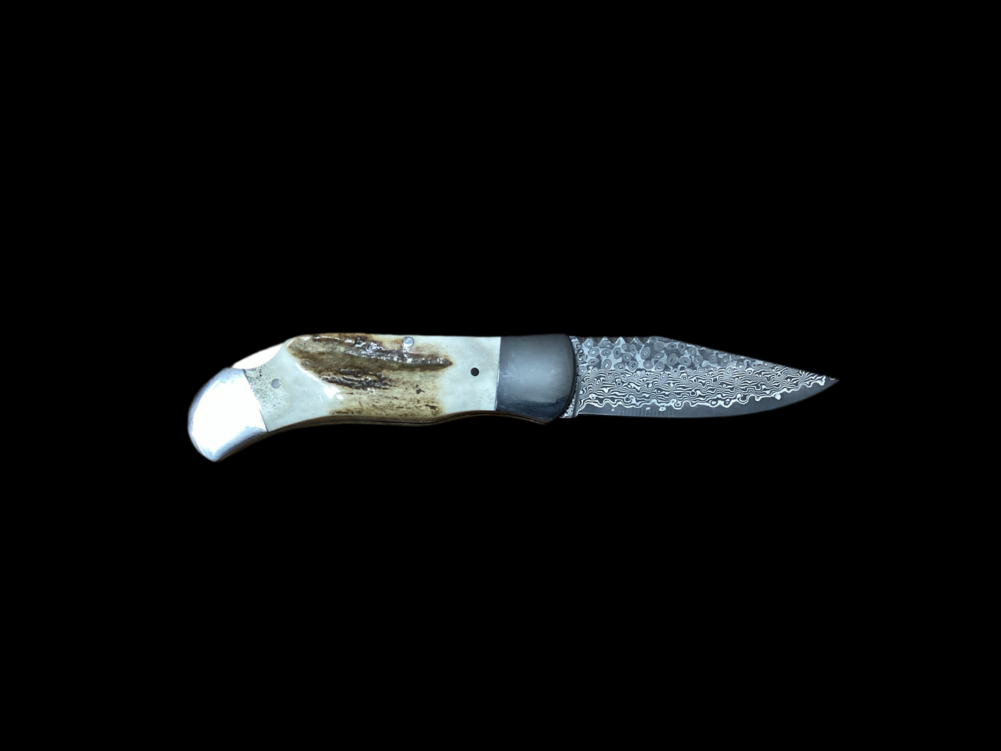 Circle SH Collectors Knife- Damascus Blade with Natural Stag Horn