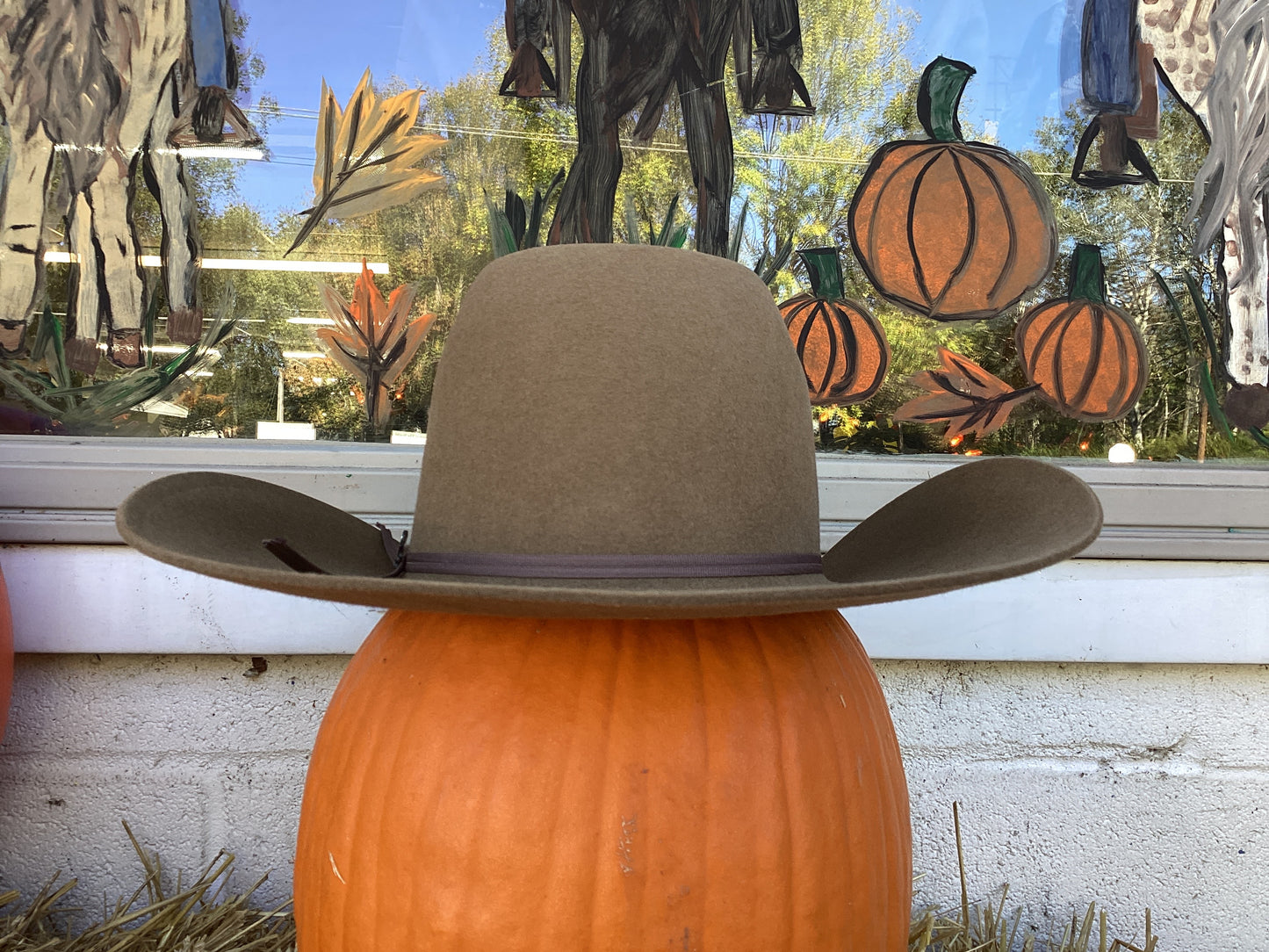 6X Pecan Fur Felt by Ariat