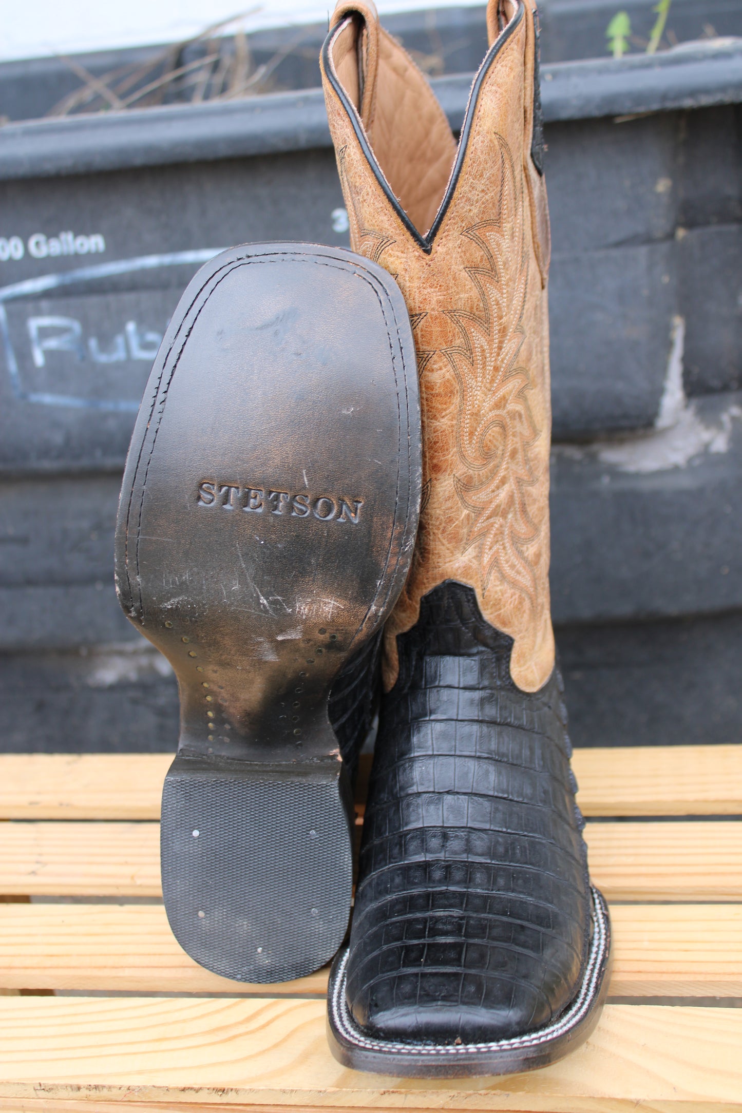 Stetson Horseman-Black Caiman Belly