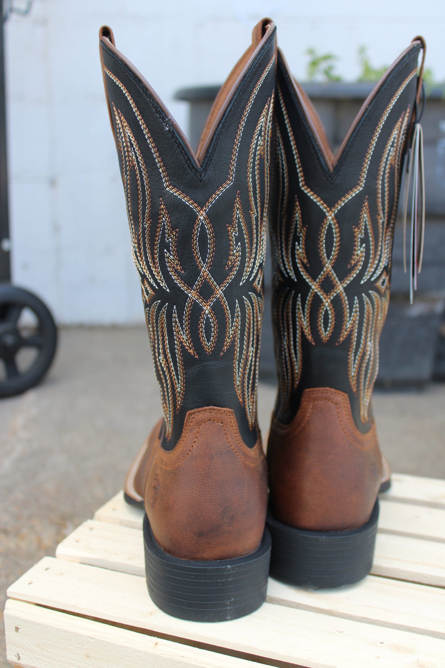 Ariat Men's Sport Rustler- Brute Brown & Tack Room Black