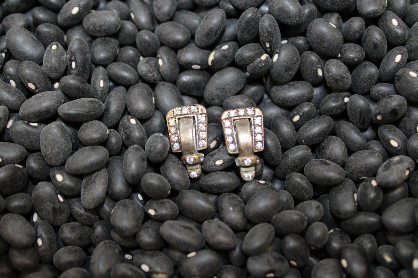 Let's Ride Earrings by Kelly Herd Designs