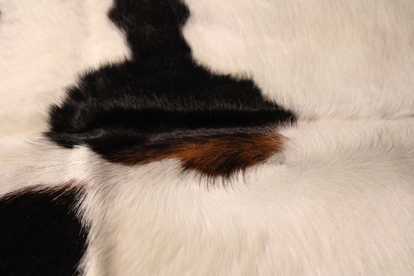Black & White Cowhide