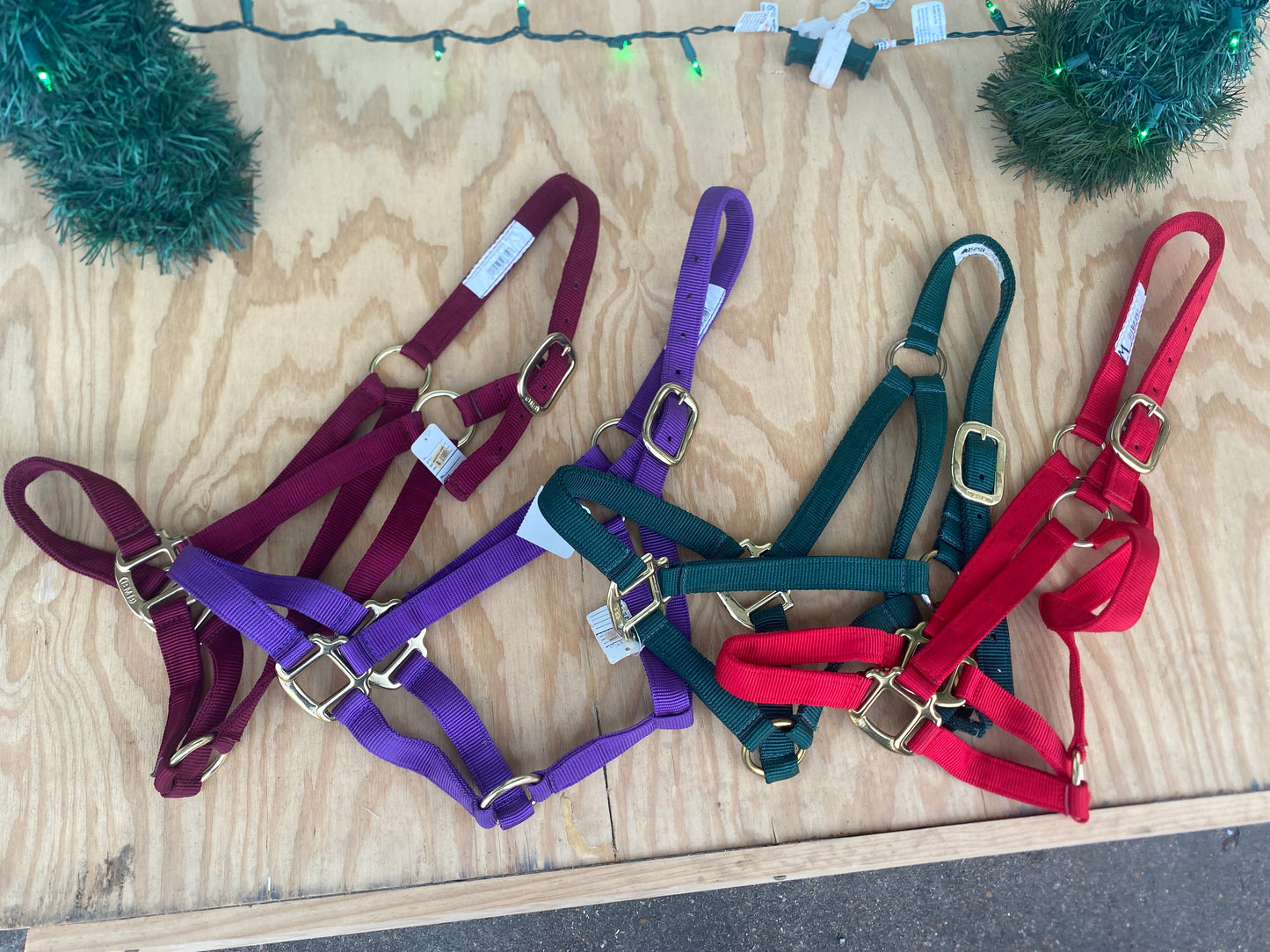 BMB Classic Nylon Horse Halter