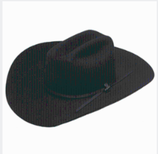 ARIAT 6X HAT BLACK