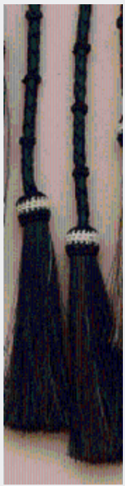Leather Stampede String with Horsehair