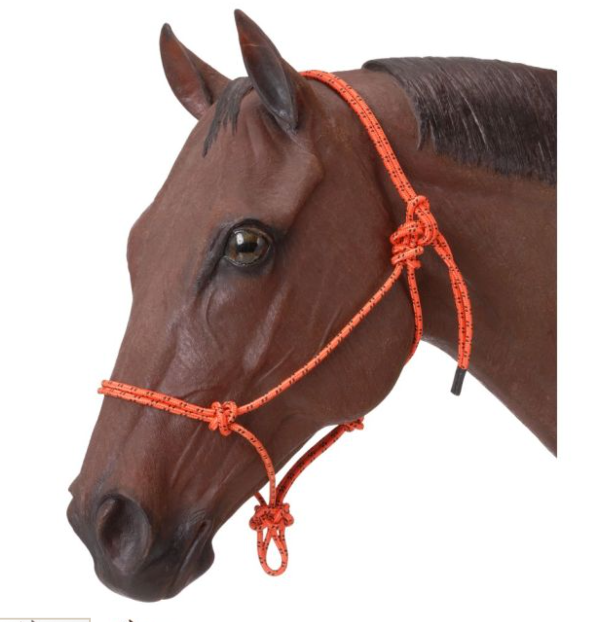 Poly Rope Halter