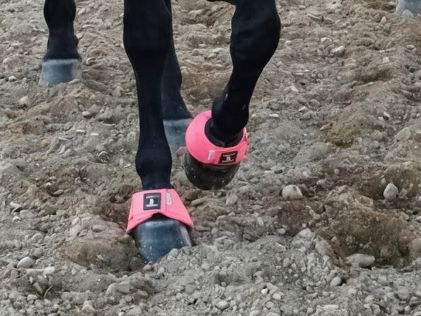 Leg Protection