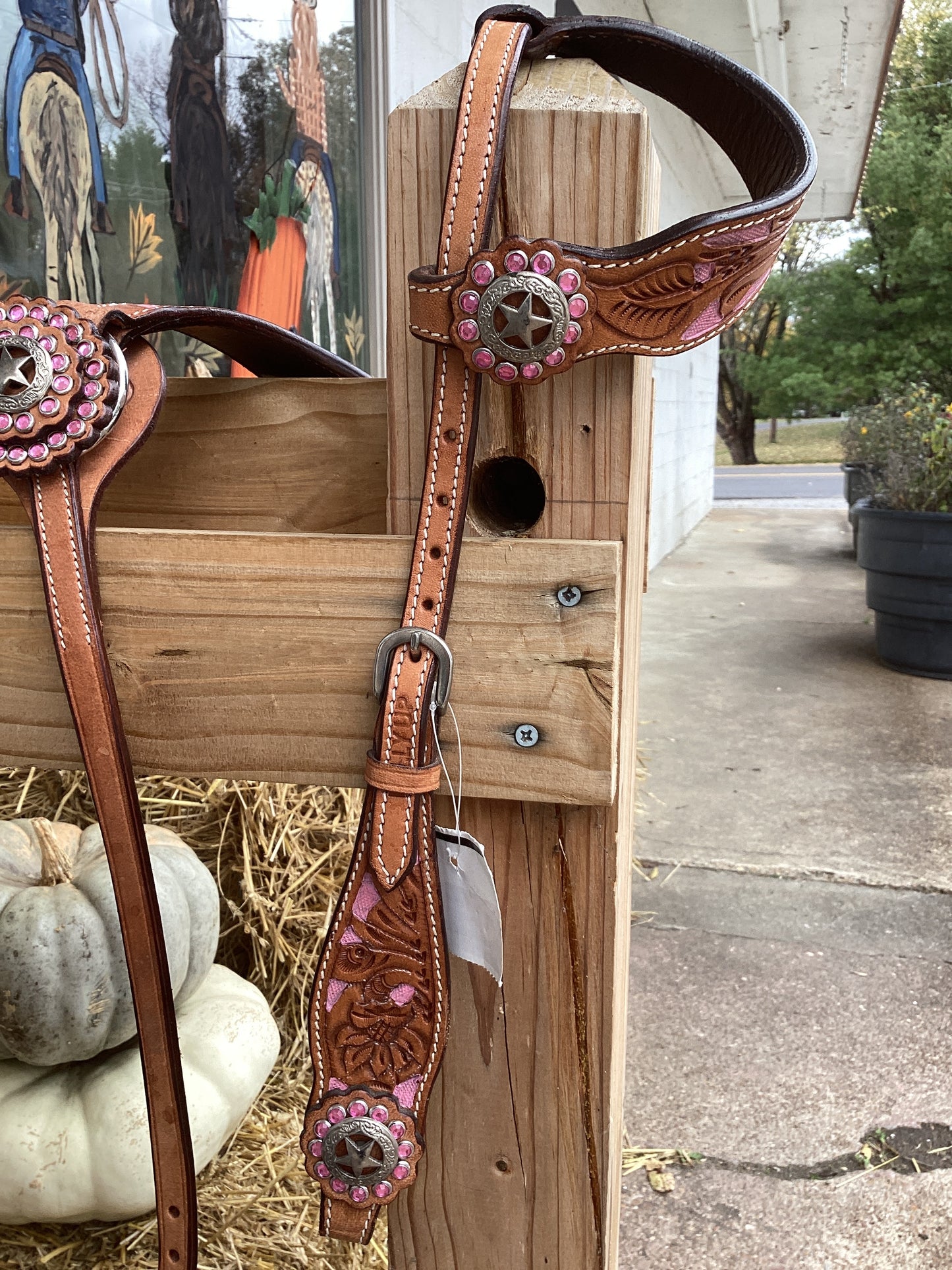 Pink Lady Tack Set by DallyUp