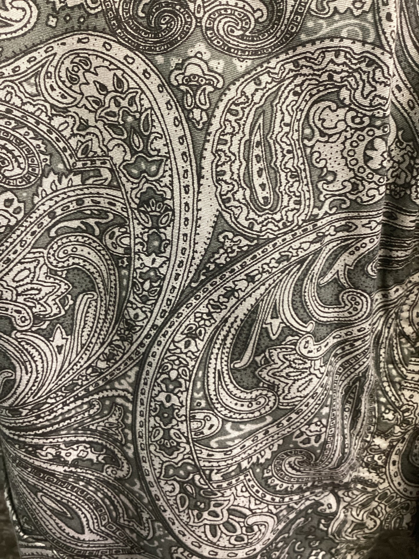Smoke Paisley Shirt by Stetson