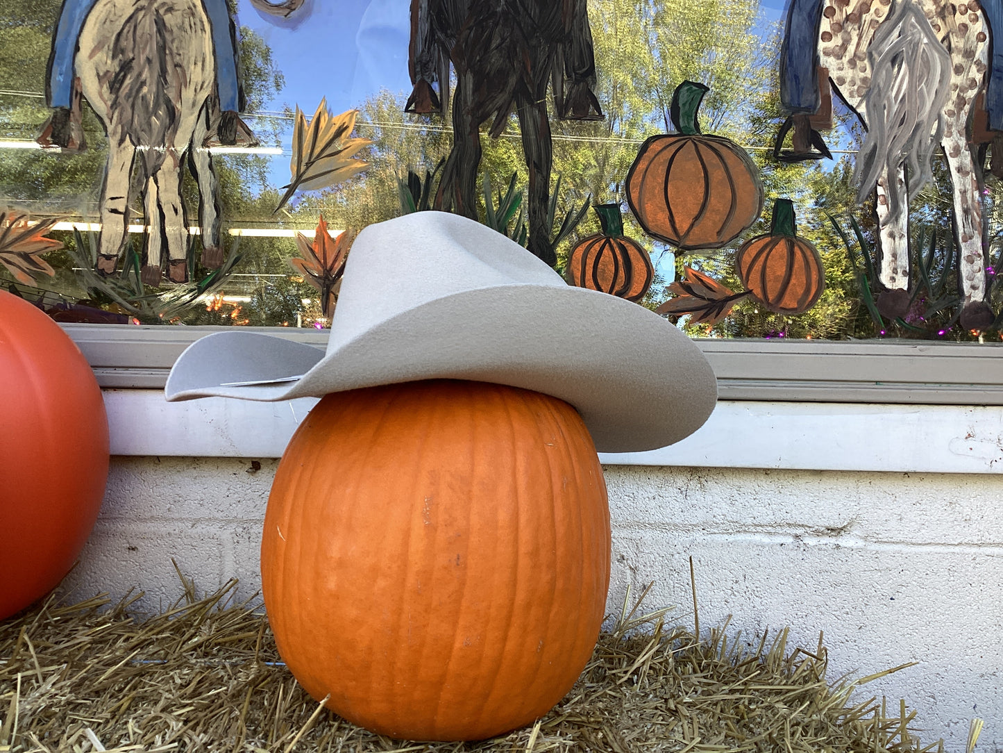 “Dallas” Silverbelly Felt Cowboy Hat by Twister