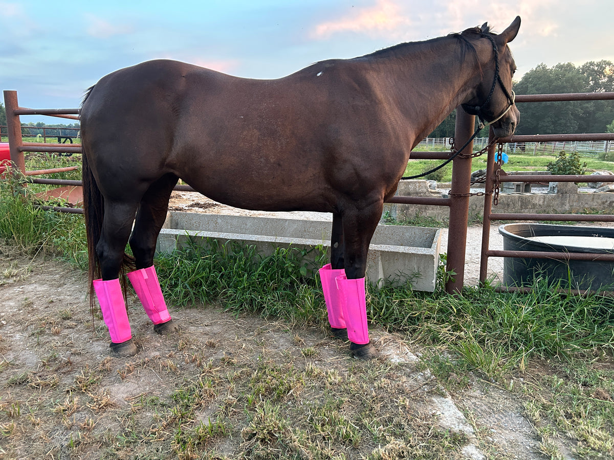 Crusader Fly Leg Guards