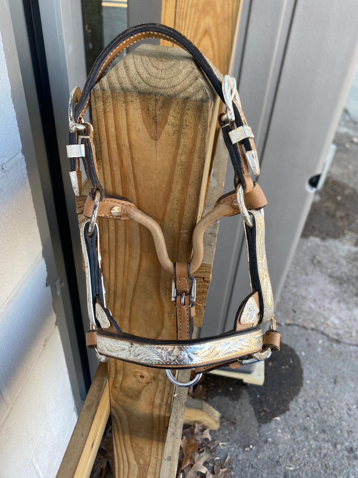 Royal King Deluxe Silver Show Halter- Mini CLEARANCE