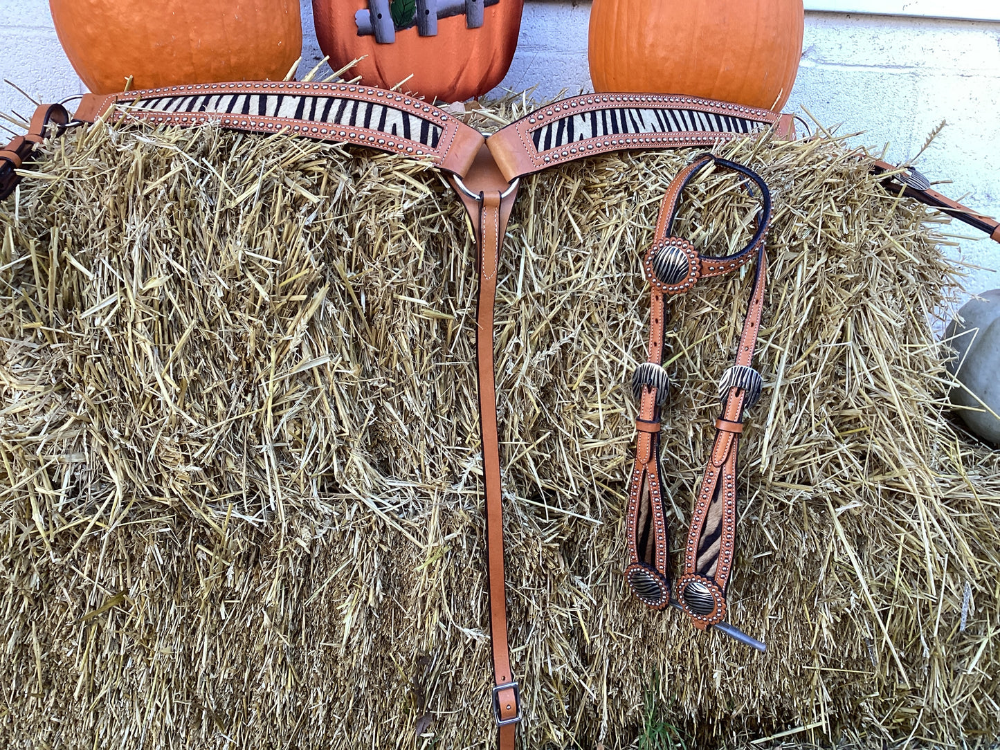 Wild Child Tack Set
