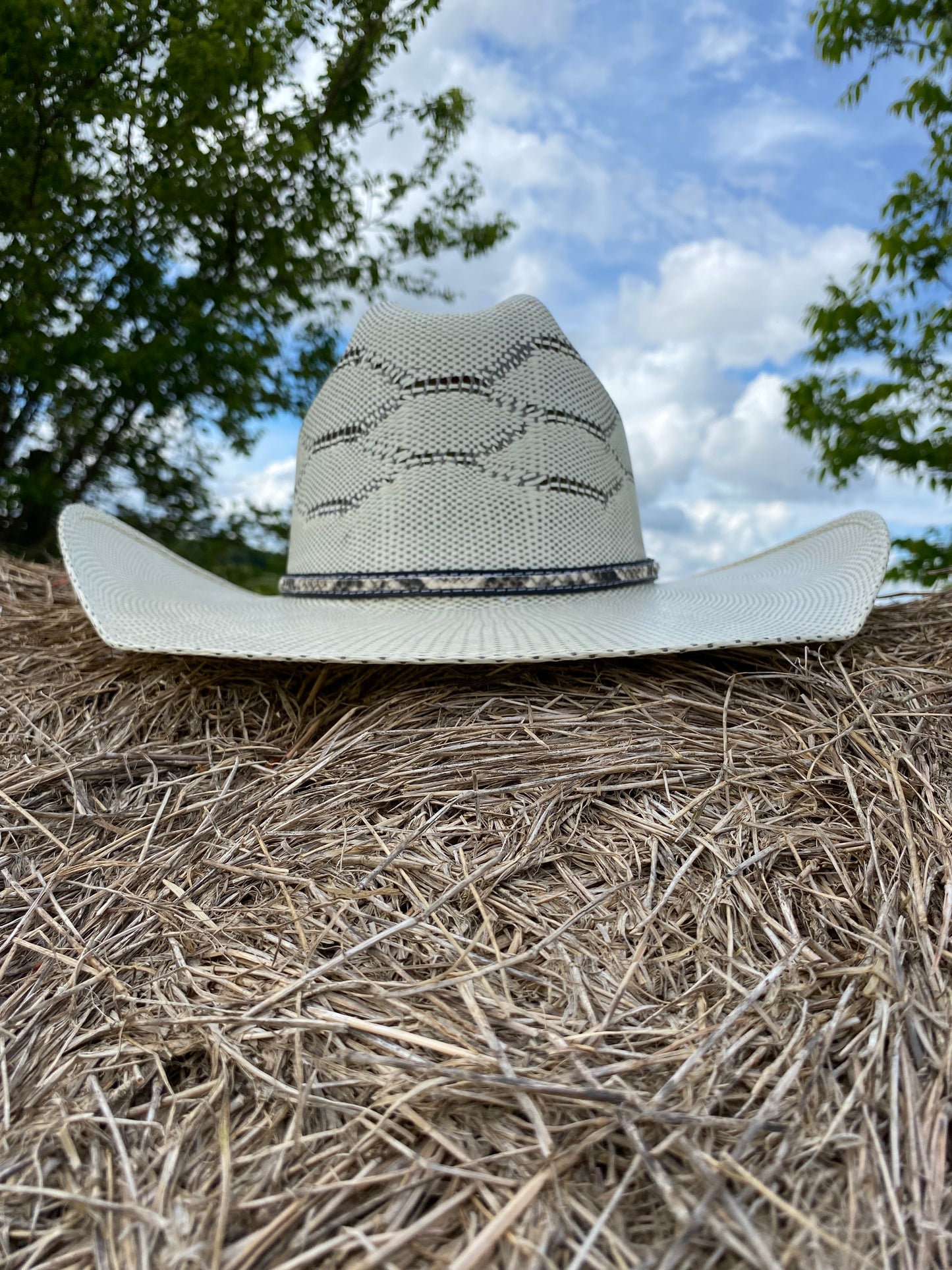 King Cobra 20X by Bullhide