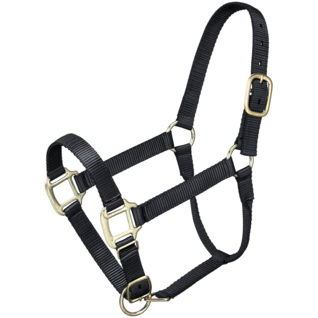 Premium Pony Halter