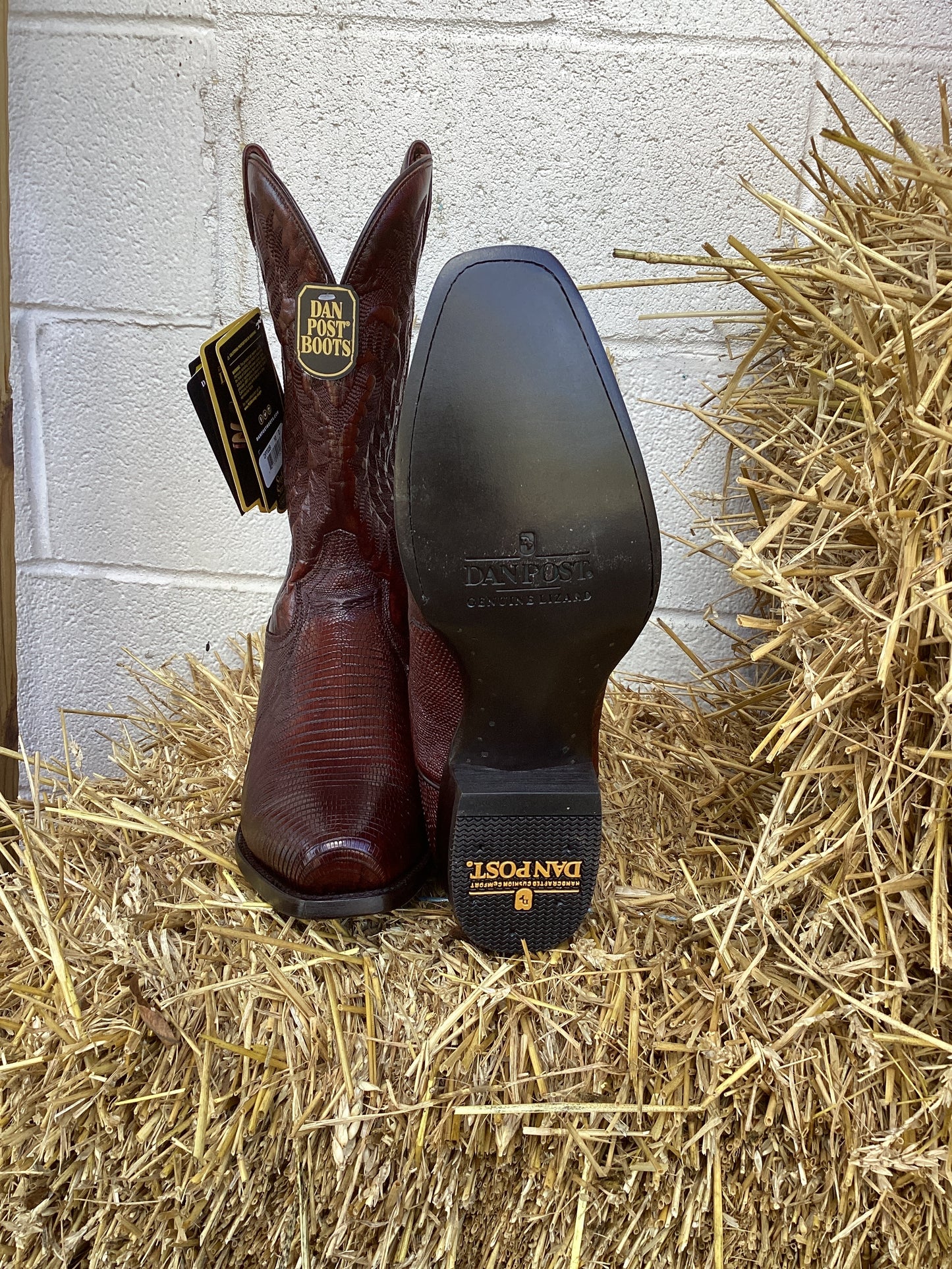 Ringold Antique Tan Lizard Boots by Dan Post