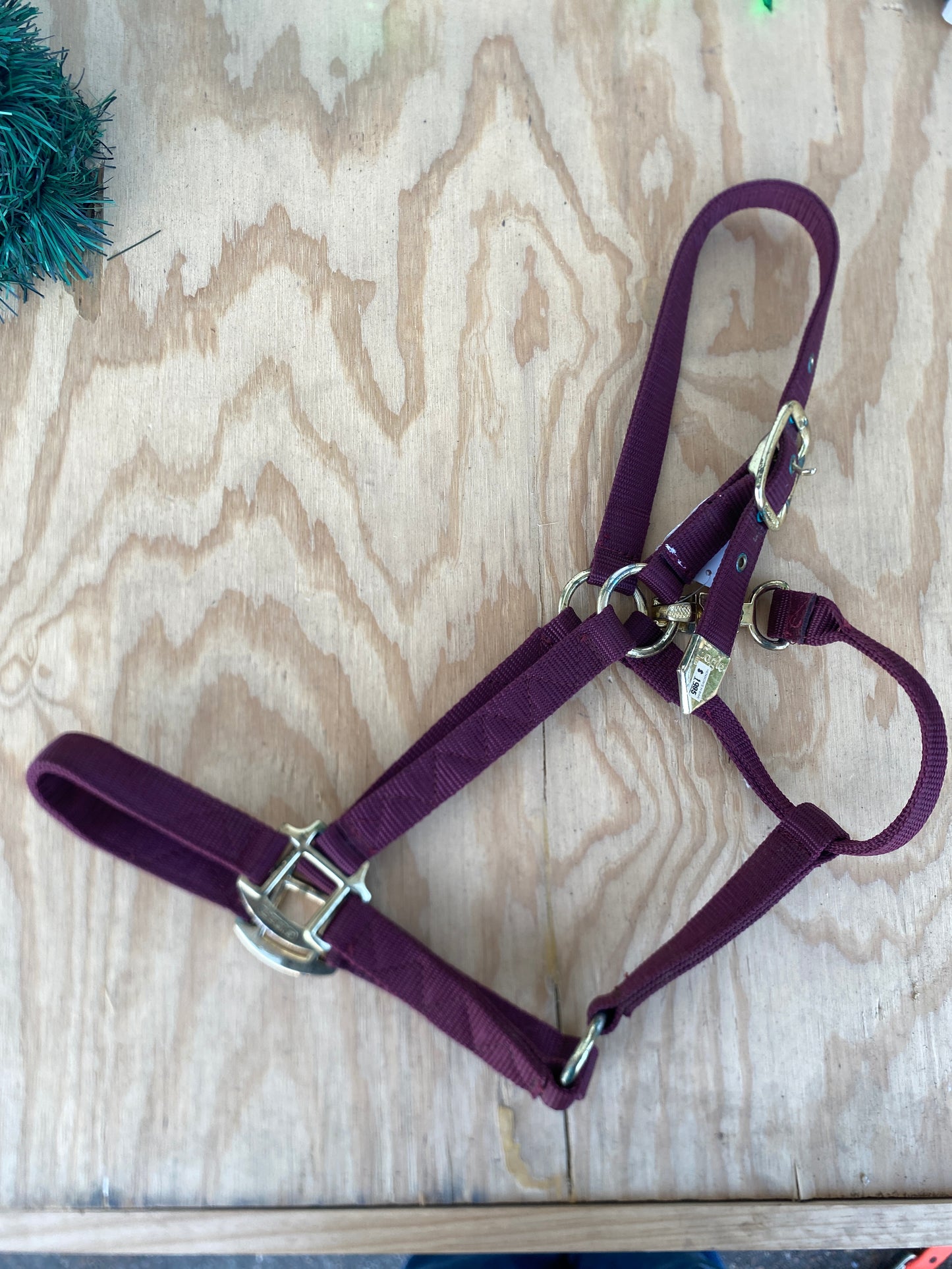 Economy Nylon Halter by Eagle Equine