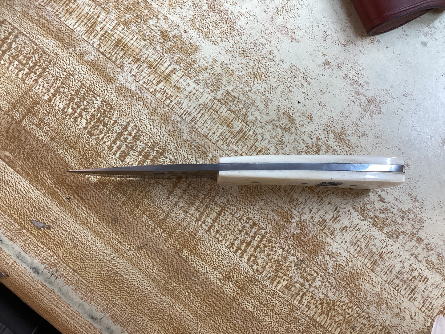 6 1/2” Fixed Blade Stainless Steel Blade with Natural Bone Handle and Leather Sheath