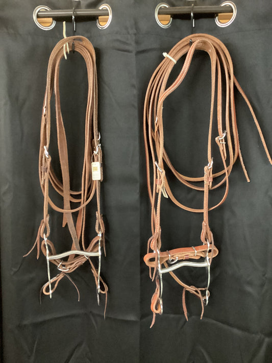 Sharp one ear work bridle