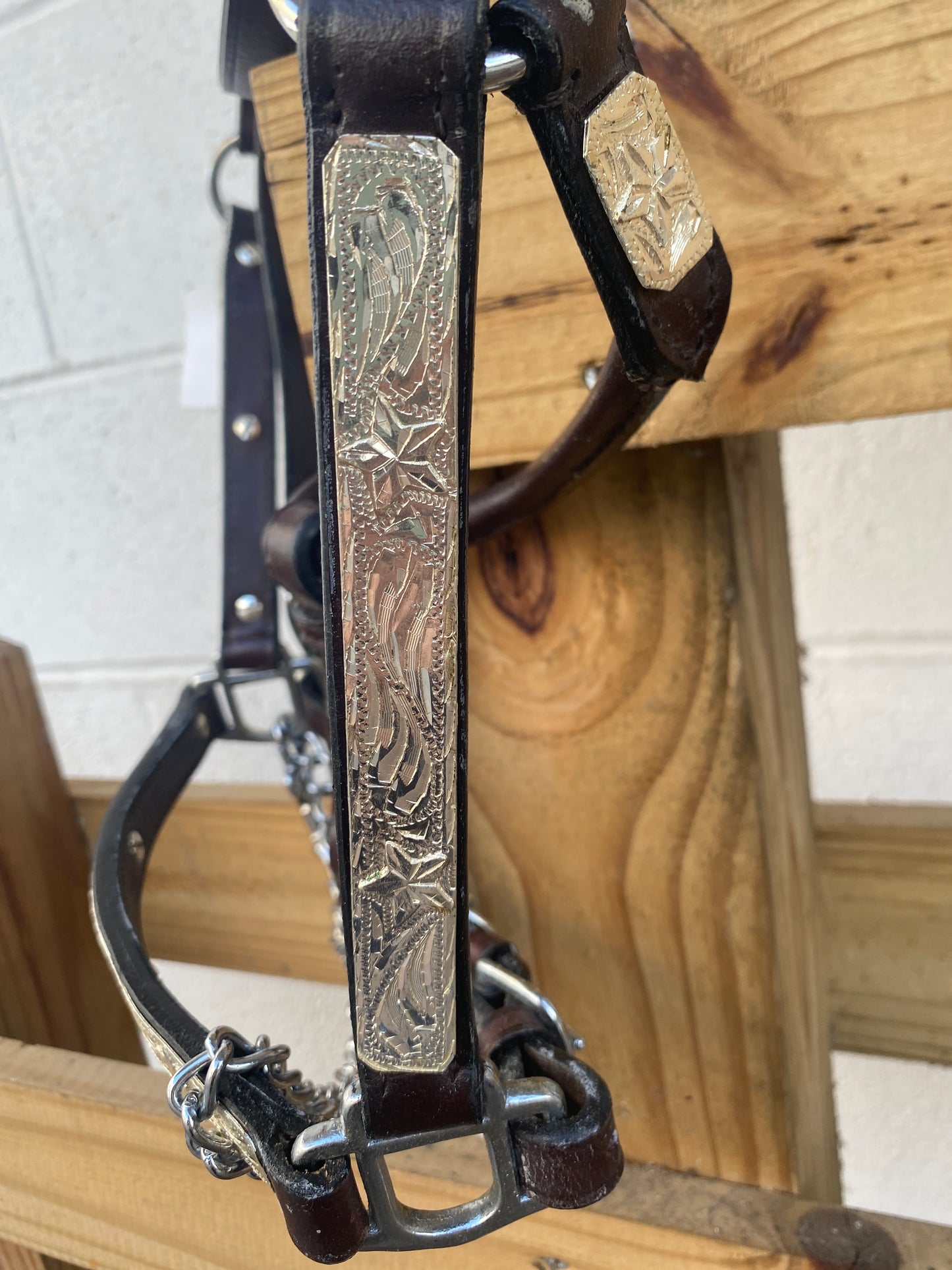 Colt Show Halter- Clearance