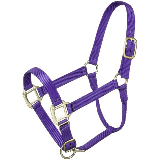 Premium Pony Halter