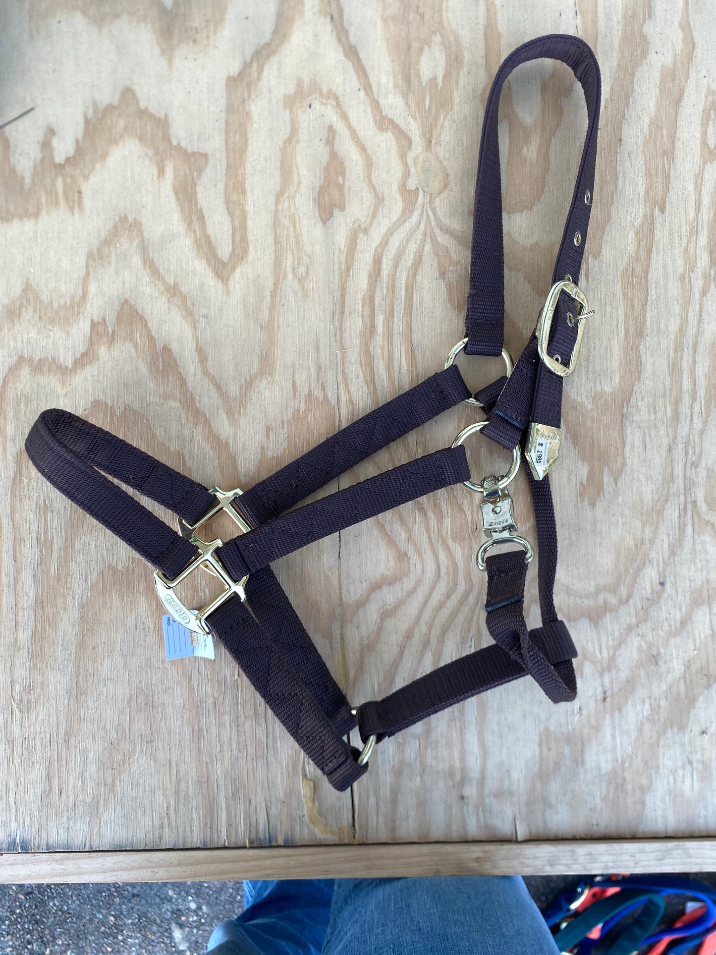 Economy Nylon Halter by Eagle Equine
