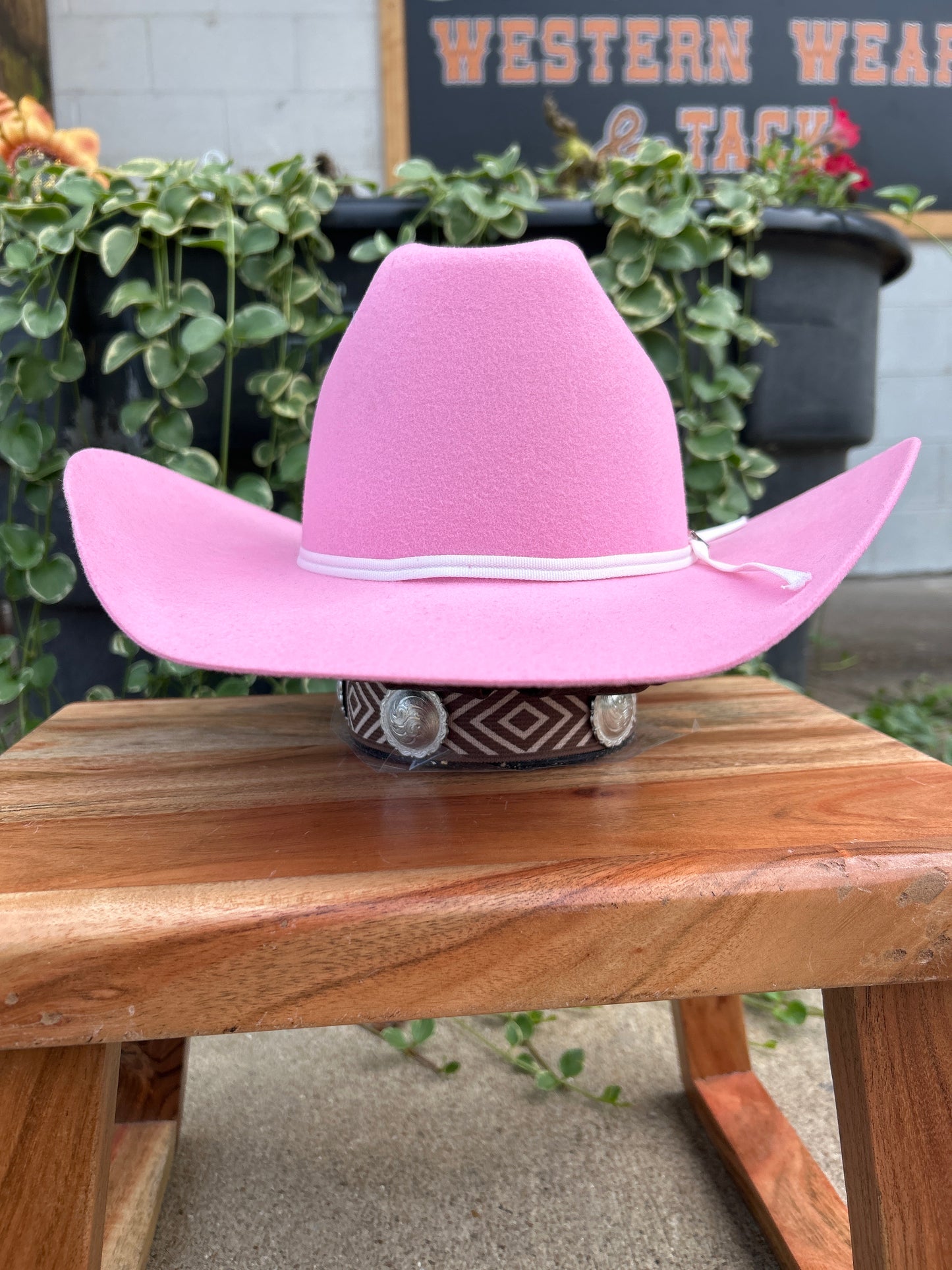 Twister Kids Pink Felt Hat